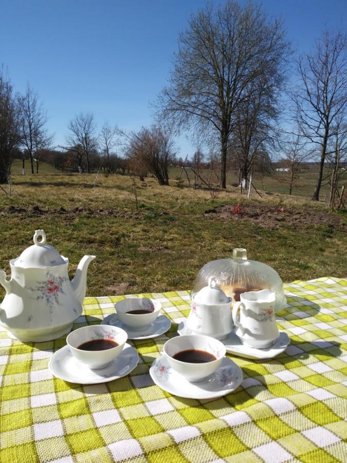 Miejsce Mocy Mazury Lejlighed Kolno  Eksteriør billede